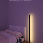 Stereo Sync Corner Floor Lamp