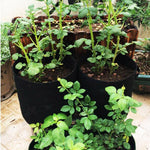 7 gallon garden planter bags