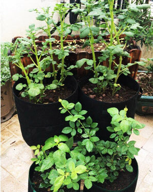 7 gallon garden planter bags